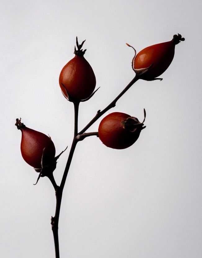 Nerra lifestyle photo 16