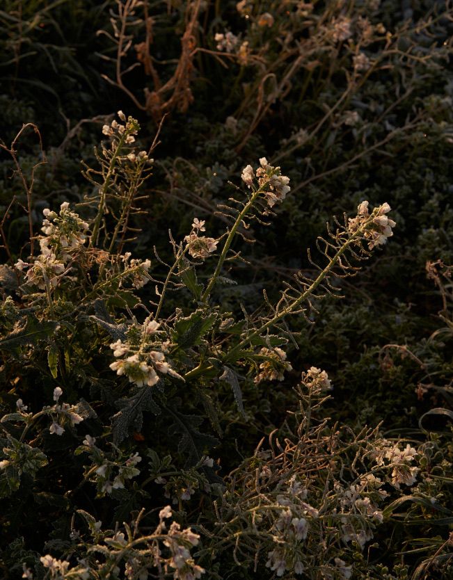 Nerra lifestyle photo 3